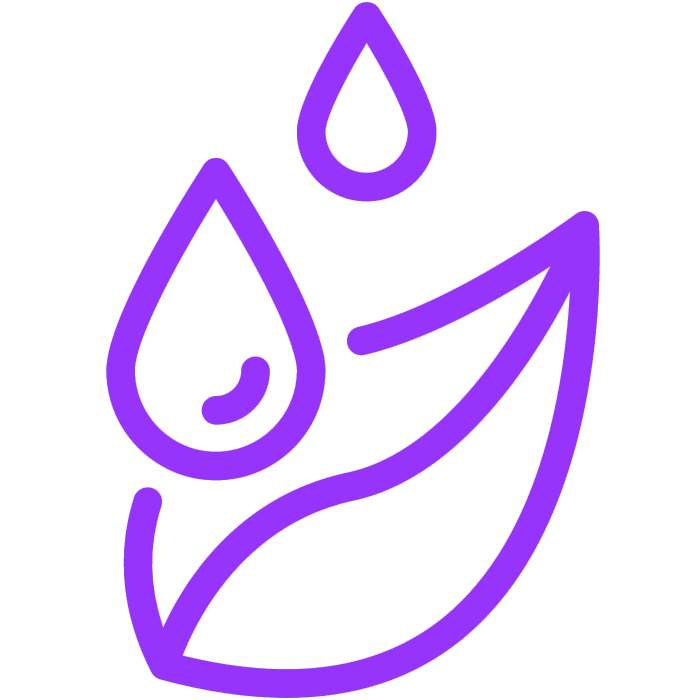 l2